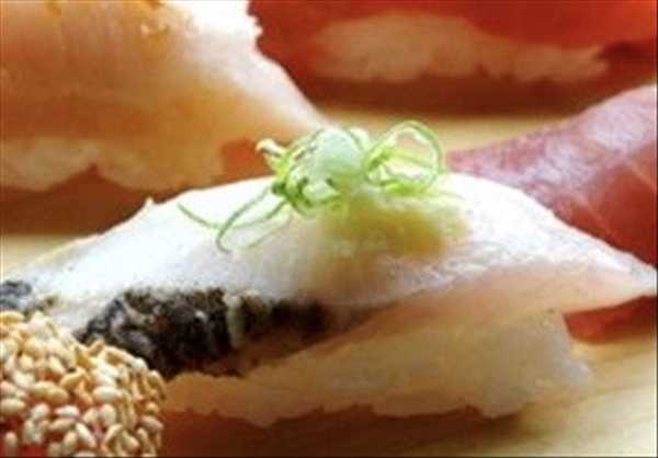 Spanish Mackerel